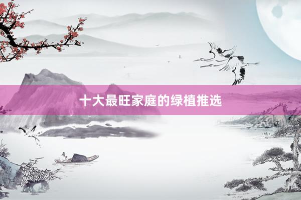 十大最旺家庭的绿植推选