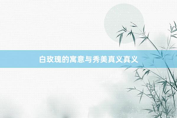 白玫瑰的寓意与秀美真义真义
