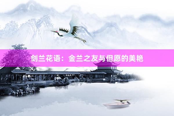 剑兰花语：金兰之友与但愿的美艳
