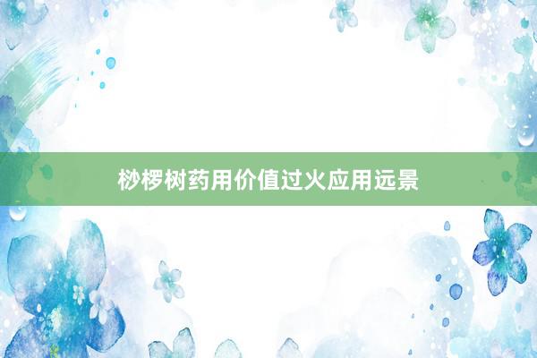 桫椤树药用价值过火应用远景