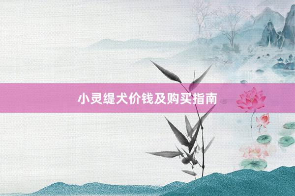小灵缇犬价钱及购买指南